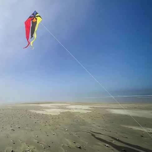 In the Breeze 3357 — Texas 77" Wave Delta Kite — Easy Flying Single Line Large Ripstop and Taffeta Kite in Saudi Arabia