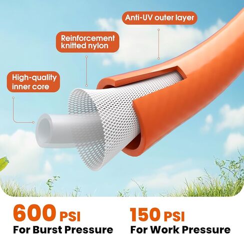 ذا يوت كوين يوت in Kuwait