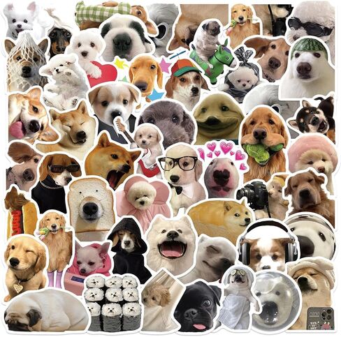 Cat Meme Stickers, Funny Cat Stickers for Kids Journaling Adults Kawaii,Cute Waterproof Vinyl Sticker for Water Bottles Laptops 50Pcs in Kuwait