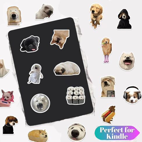 Cat Meme Stickers, Funny Cat Stickers for Kids Journaling Adults Kawaii,Cute Waterproof Vinyl Sticker for Water Bottles Laptops 50Pcs in Kuwait