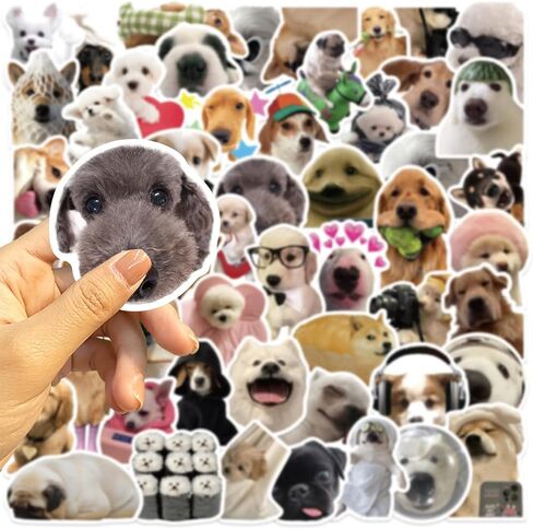 Cat Meme Stickers, Funny Cat Stickers for Kids Journaling Adults Kawaii,Cute Waterproof Vinyl Sticker for Water Bottles Laptops 50Pcs in Kuwait