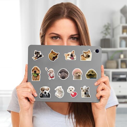 Cat Meme Stickers, Funny Cat Stickers for Kids Journaling Adults Kawaii,Cute Waterproof Vinyl Sticker for Water Bottles Laptops 50Pcs in Kuwait
