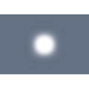 Lee Filters Opal Frost 48 "x25 'Fluter Roll Diffusion Filter