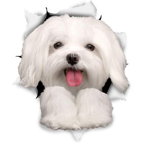 Winston & Bear 3D Dog Stickers - 2 Pack - Cute Maltese Dog Decals for Wall, Fridge, Toilet and More - Retail Packaged Maltese Stickers