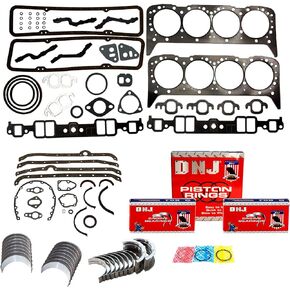 DNJ RRK3101A Engine Re-Ring Kit for 1968-1980 / Chevrolet/Camaro / 4.9L / OHV / V8 / Cu.350