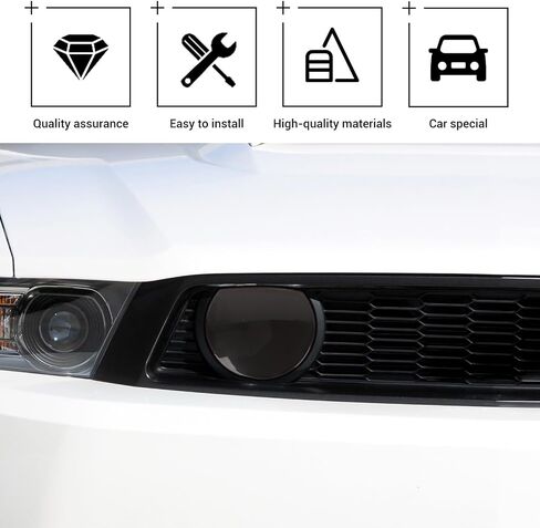 Hoolcar Center Grille Lamp Cover Trim Front Lamp Light Protector Cover Trim Compatible with Ford Mustang 2010-2014, Smoked Black in Saudi Arabia