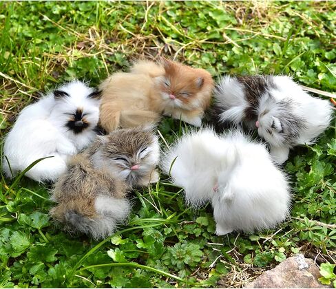Set of 5 Mini Realistic Cats Lifelike Baby Kittens Cute Furry Kitties Replica in Saudi Arabia