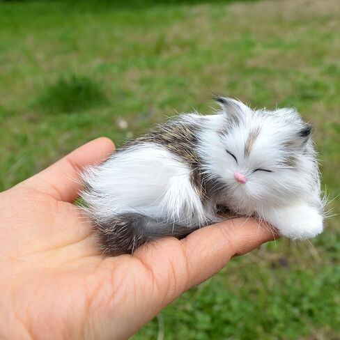Set of 5 Mini Realistic Cats Lifelike Baby Kittens Cute Furry Kitties Replica in Saudi Arabia