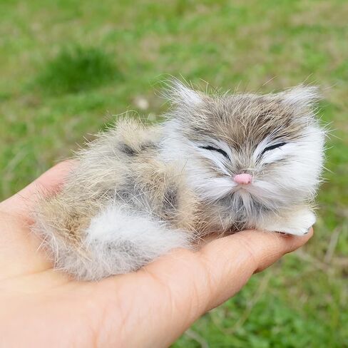 Set of 5 Mini Realistic Cats Lifelike Baby Kittens Cute Furry Kitties Replica in Saudi Arabia
