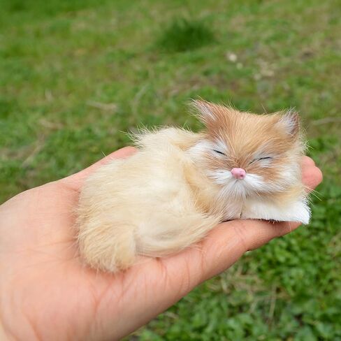 Set of 5 Mini Realistic Cats Lifelike Baby Kittens Cute Furry Kitties Replica in Saudi Arabia