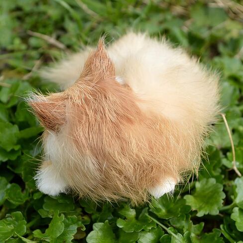 Set of 5 Mini Realistic Cats Lifelike Baby Kittens Cute Furry Kitties Replica in Saudi Arabia