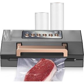 Stainless Steel Vacuum Sealer Machine for Food – Commercial Dual Pump Sealing Machine, Food Vacuum Sealer Machine with Dry & Moist Modes, Pro Food Sealer Vacuum Sealer, Built‑in Cutter, Dark Gray