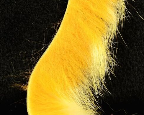 شرائح أرنب هارلين ماغنوم in Kuwait