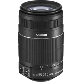 Canon EFS 55-250mm f/4.0-5.6 IS II Telephoto Zoom Lens for Canon Digital SLR Cameras - International Version (No Warranty)