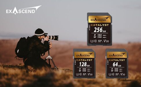 64 GB / 128 GB / 256 GB Catalyst SD UHS-I Card, C10, U3, V30, up to 180MB/s, Compatible with Canon, Nikon, Panasonic and Other Cameras (256GB) in Saudi Arabia