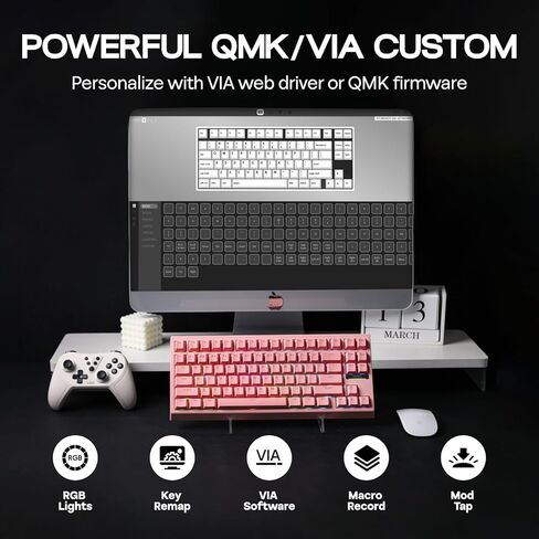 Epomaker G84 80 ٪ RGB لوحة مفاتيح ميكانيكية للألعاب ، 2.4 جيجا هرتز/Type-C/BT اللوحة اللاسلكية ، QMK/عبر برنامج NKRO قابل للبرمجة ، قابلة للتبديل ، مع تألق من خلال مفاتيح PBT للاعبين (أبيض ، مفتاح JADE الكريمي) in Saudi Arabia