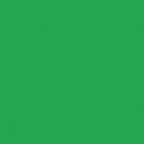 Rosco Roscolux Moss Green ، 20x24 "مرشح إضاءة تأثيرات اللون