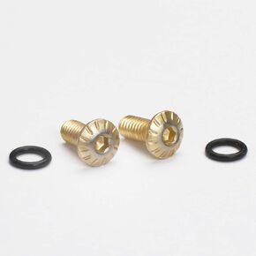 Custom Torx Grip Screws â.“ Gold Finish, Compatible with CZ 75 & 85 Grip Panels (Set of 2)