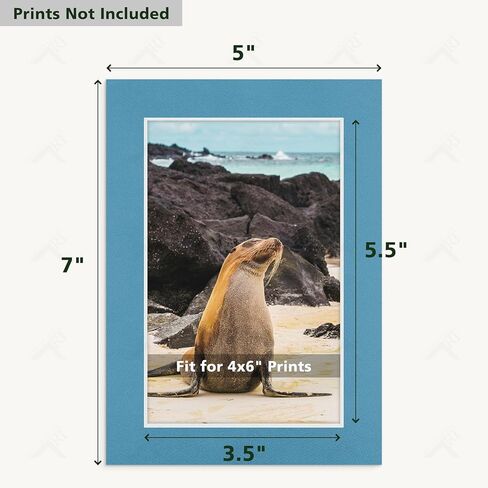 Golden State Art, 10 Pack 11x14 Black Picture Mat for 8x12 Photos | White Core Bevel Edge, Acid Free, 4-ply Thick Framing Picture Mats in Saudi Arabia