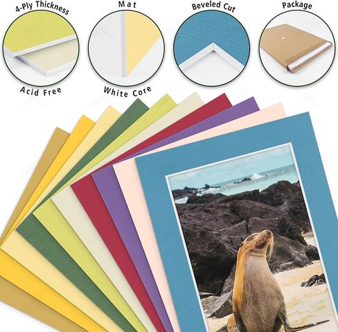 Golden State Art, 10 Pack 11x14 Black Picture Mat for 8x12 Photos | White Core Bevel Edge, Acid Free, 4-ply Thick Framing Picture Mats in Saudi Arabia