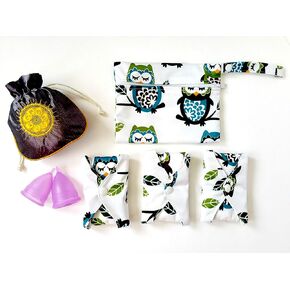 Period Starter Kit 6pcs Set- 1 Small 1 Large Menstrual Cup 1 Small Pouch 2 Cloth Pads for Women 1 Wet Bag