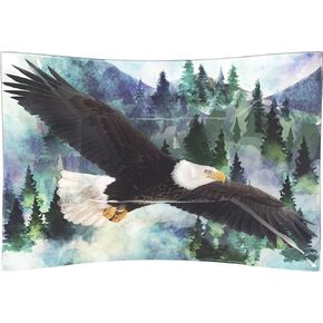 Soaring Eagle Rectangle Plate - 9"