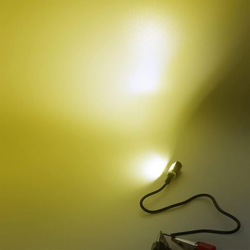 ضوء لوحة الترخيص، 2 قطعة 12 فولت 3-SMD 2835 رقاقة مقاومة للماء مسمار لولبي LED ضوء/مصباح عالمي لمعظم السيارات والمركبات وإضاءة لوحة الترخيص والديكور (أصفر) in Kuwait