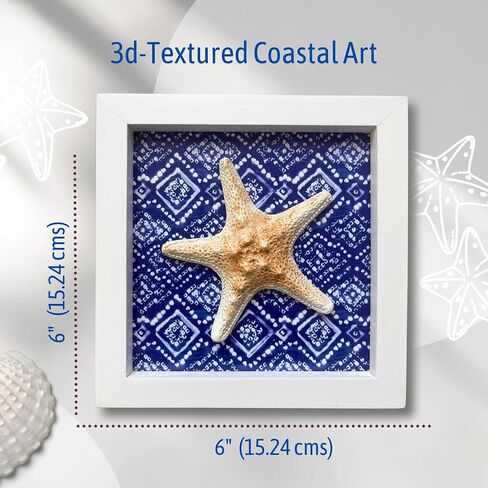 Salty Sisters Coastal, Beach Wall Decor - Ocean/Nautical Theme Sea Shell and Starfish Art Decorations for Bathroom, Home, Office, Bedroom or Living Room, Set of 3 (6"x 6"), Blue and White Decor in Saudi Arabia