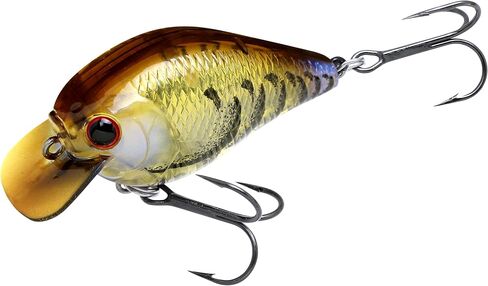 LUCKY CRAFT Fat CB BDS 1, Freshwater Bass Fishing Lure, Crank Bait, Smallmouth, Walleye, Floating, Tournament Winning, Perfect Wobbling, Squarebill, Fishing Gear, Fishing Accessories, Fishing Tackle in Saudi Arabia