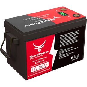 12V 300Ah Small-Volume LiFePO4 Lithium Battery,200A BMS,10000+ Deep Cycle Lithium Iron Phosphate Battery Great for Winter Power Shortage, RV, Marine and Off Grid Applications
