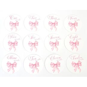 Bow Baby Monthly Milestone Markers - Baby Monthly Milestone Discs Photos,Coquette Bow Month Photo Signs,Baby’S First Year Newborn Signs for Girl (Pink)