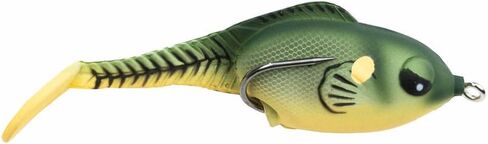 Wake-Style Topwater Bait in Saudi Arabia