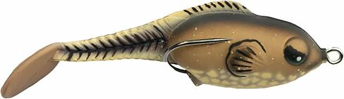 Wake-Style Topwater Bait in Saudi Arabia