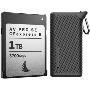 Angelbird AV PRO SE CFexpress V4 1T High-Speed Memory Card Bundle with CreateMate Card Reader Case with Type B or SD Compatibility (Classic Black) (2 Items)