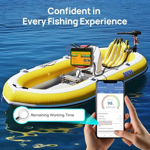 بطارية ليثيوم 12V 100AH ​​الجديرة بالبيئة مع شاشة SOC ، وترقية 2.0 مع بلوتوث مدمج ، 100A BMS مع حماية منخفضة الإيقاع ، مناسبة ل RV ، والتخييم ، ومحرك الصيد الشمسي خارج الشبكة in Kuwait