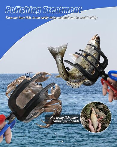 2 عبوات 2/3 مقابض أسماك المخلب ، 2025 ترقية من أرزاء الصيد المعدني مقابض Catch Catch Fish Control Clamp ، 3 أسنان ملقط ، حامل السمك الإكسسوارات لمعظم أسماك المياه العذبة وسرطان البحر in Saudi Arabia