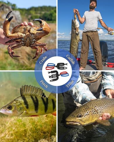 2 عبوات 2/3 مقابض أسماك المخلب ، 2025 ترقية من أرزاء الصيد المعدني مقابض Catch Catch Fish Control Clamp ، 3 أسنان ملقط ، حامل السمك الإكسسوارات لمعظم أسماك المياه العذبة وسرطان البحر in Saudi Arabia