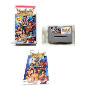 Hiryu no Ken S: Golden Fighter (Flying Dragon) Super Famicom (Super NES Japanese Import)