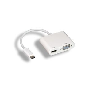 RiteAV USB 3.1 Type C Male to HDMI Female + VGA Female Adapter [10 Pack]