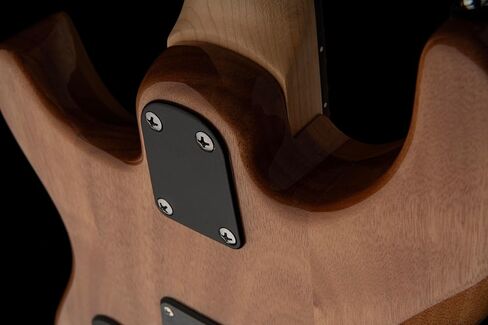 PRS Guitars 6 String SE CE 24 Electric Guitar, Vintage Sunburst with Gigbag, Right, (112888::VS:) in Saudi Arabia