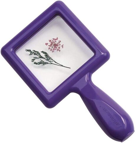 Environments Toddler, Preschool Early STEM, Specimen Viewers for Kids, Science Education Set of 4 in Saudi Arabia