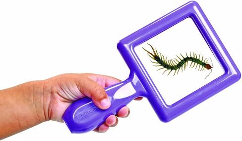 Environments Toddler, Preschool Early STEM, Specimen Viewers for Kids, Science Education Set of 4 in Saudi Arabia