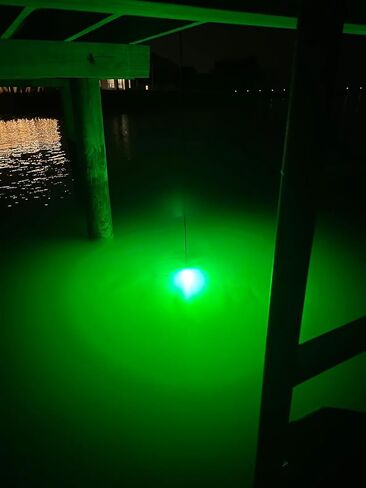 HydroGlow Underwater Fishing Light – High-Output Green LED (360° Visibility), 12V, 20 ft Cable for Deep Sea & Freshwater – Made in USA (250 mm) in Kuwait