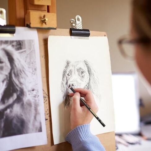 كالور مجموعة اقلام رسم احترافية ملونة من الفحم، 12 قطعة من اقلام الطباشير باستيل للرسم والتظليل والمزج والبورتريه، اقلام فحم اسود وابيض للمبتدئين والفنانين in Kuwait