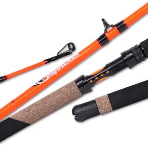 Fiblink Catfish Fishing Rods, 2 Piece Catfishing Pole, Medium Heavy Catfish Casting/Spinning Rod