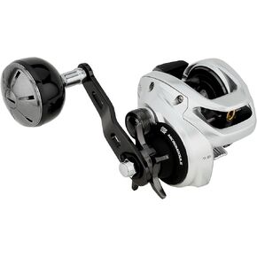 Shimano TRANX 300 B Low Profile Reels Fishing