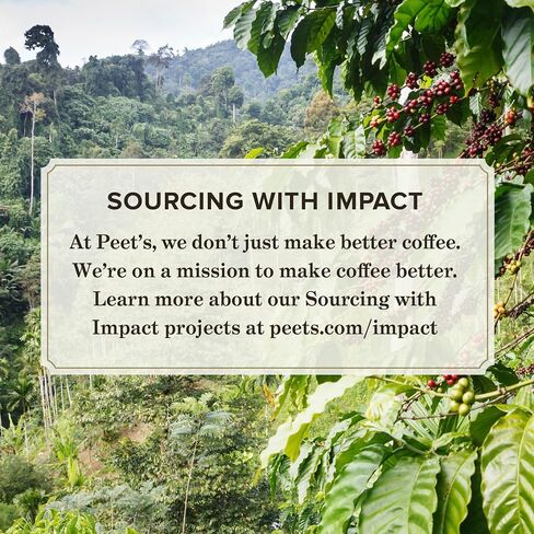 قهوة Peet ، قرون Keurig K-Cup المتوسطة المشوية-Big Bang ، 32 Count (1 صندوق من 32 K-Cup Pods) in Saudi Arabia
