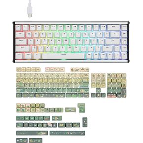 AJAZZ ALUX68 HE Aluminum Rapid Trigger Gaming Keyboard with KiiBOOM X Cosydiaries Rainy Froggy Day Keycap Set