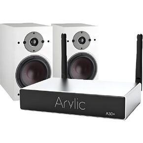 A30+ WiFi and Bluetooth 5.0 Sound Power Amplifier 2-Channel Class D Wireless Mini Home Amplifier for Speakers,for Multi-Room Digital Audio Amp