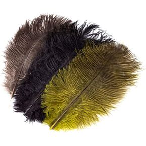Ostrich Plumes